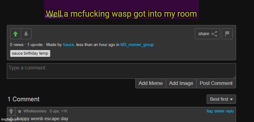 made w/ Imgflip meme maker