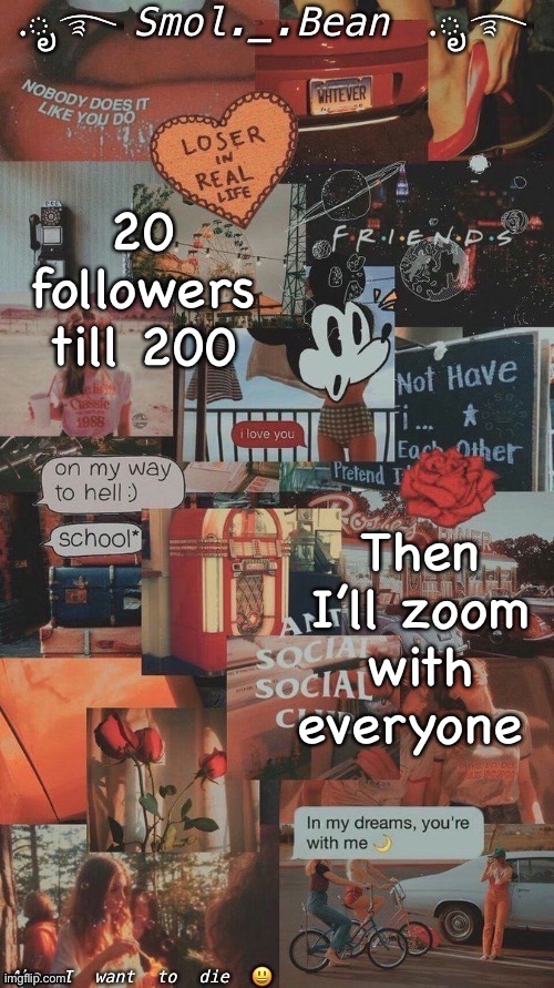 20 followers till 200; Then I’ll zoom with everyone | image tagged in beans orange temp hehe | made w/ Imgflip meme maker