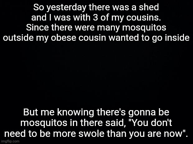 Lmao I'm mean | So yesterday there was a shed and I was with 3 of my cousins. Since there were many mosquitos outside my obese cousin wanted to go inside; But me knowing there's gonna be mosquitos in there said, "You don't need to be more swole than you are now". | image tagged in black background | made w/ Imgflip meme maker