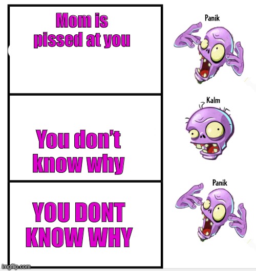 PANIK | Mom is pissed at you; You don’t know why; YOU DONT KNOW WHY | image tagged in zombie panik calm panik | made w/ Imgflip meme maker