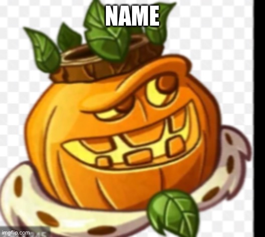 NAME | made w/ Imgflip meme maker