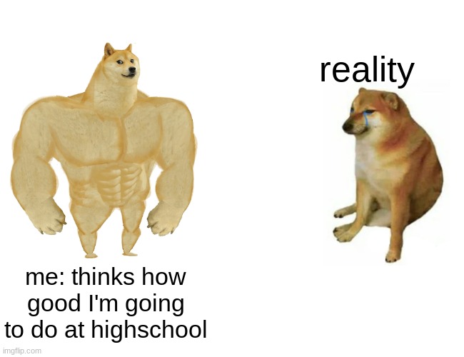 Buff Doge vs. Cheems Meme | reality; me: thinks how good I'm going to do at highschool | image tagged in memes,buff doge vs cheems,shiba inu,high school,depression,funny memes | made w/ Imgflip meme maker
