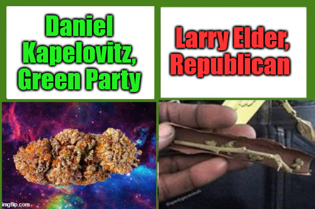 Remember to vote Green CA | Daniel Kapelovitz, Green Party; Larry Elder,
Republican | made w/ Imgflip meme maker