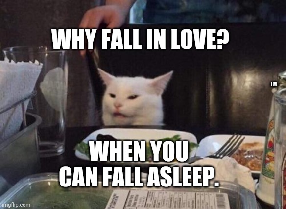 Salad cat | WHY FALL IN LOVE? J M; WHEN YOU CAN FALL ASLEEP. | image tagged in salad cat | made w/ Imgflip meme maker