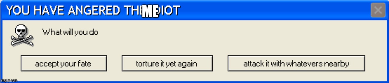 YOU HAVE ANGERED THE IDIOT | ME | image tagged in you have angered the idiot | made w/ Imgflip meme maker