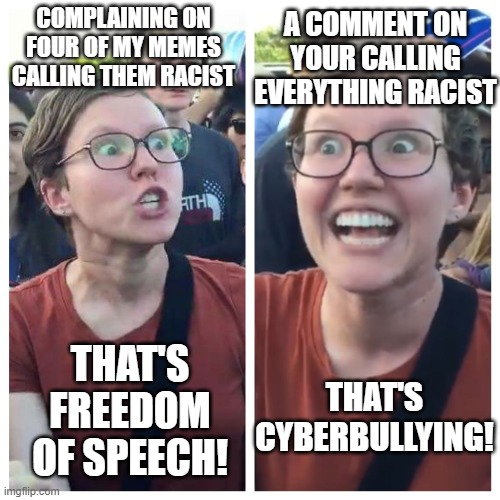 Social Justice Warrior Hypocrisy | COMPLAINING ON FOUR OF MY MEMES CALLING THEM RACIST THAT'S FREEDOM OF SPEECH! A COMMENT ON YOUR CALLING EVERYTHING RACIST THAT'S CYBERBULLYI | image tagged in social justice warrior hypocrisy | made w/ Imgflip meme maker