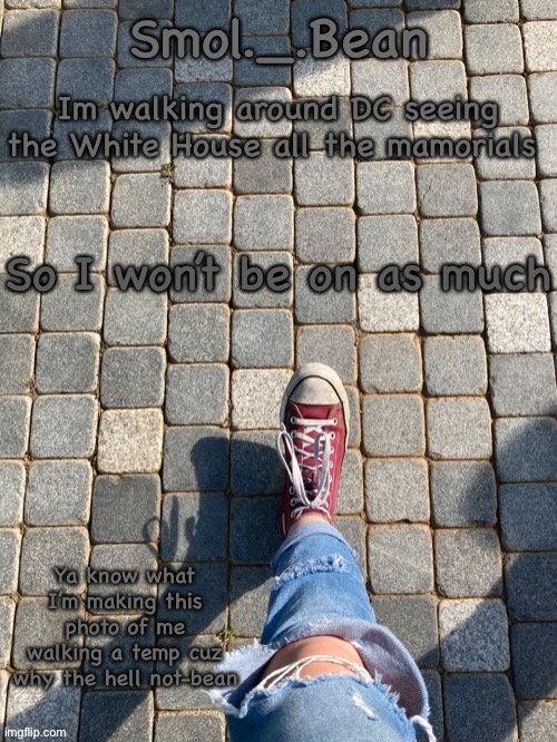 Im walking around DC seeing the White House all the mamorials; So I won’t be on as much | image tagged in beans foot temp | made w/ Imgflip meme maker