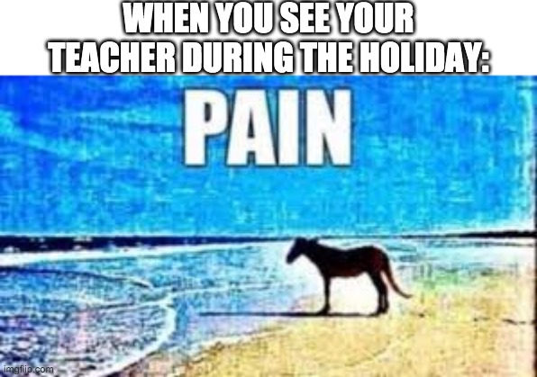 PAIN | WHEN YOU SEE YOUR TEACHER DURING THE HOLIDAY: | image tagged in pain | made w/ Imgflip meme maker