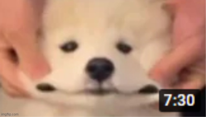 this face | made w/ Imgflip meme maker