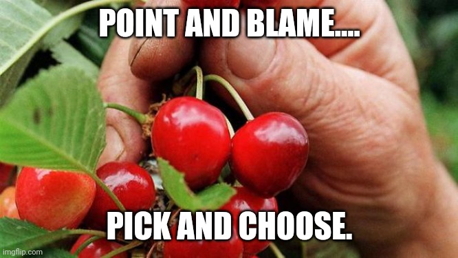 Cherry Picker | POINT AND BLAME.... PICK AND CHOOSE. | image tagged in cherry picker | made w/ Imgflip meme maker