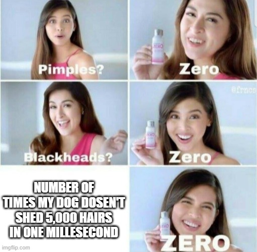 Pimples, Zero! | NUMBER OF TIMES MY DOG DOSEN'T SHED 5,000 HAIRS IN ONE MILLESECOND | image tagged in pimples zero | made w/ Imgflip meme maker