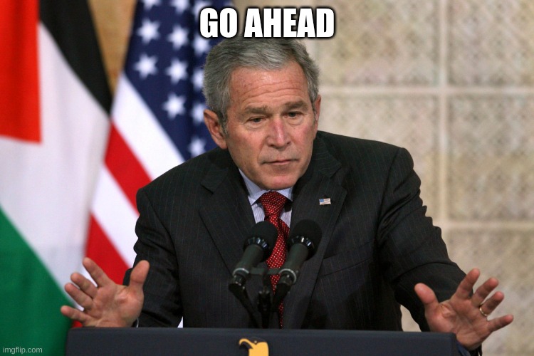 george w bush | GO AHEAD | image tagged in george w bush | made w/ Imgflip meme maker