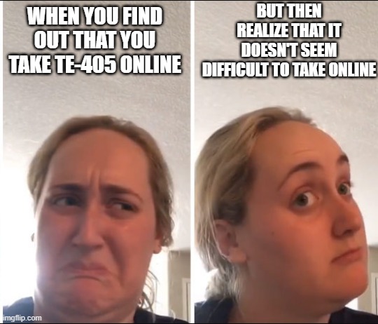 TE meme | BUT THEN REALIZE THAT IT DOESN'T SEEM DIFFICULT TO TAKE ONLINE; WHEN YOU FIND OUT THAT YOU TAKE TE-405 ONLINE | image tagged in kombucha girl | made w/ Imgflip meme maker