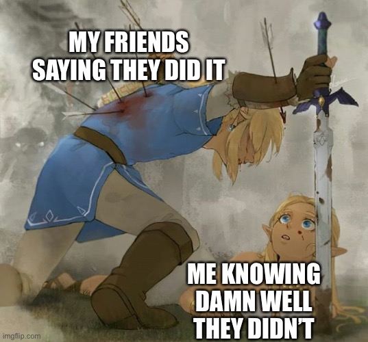 Damn that sucks | MY FRIENDS SAYING THEY DID IT; ME KNOWING DAMN WELL THEY DIDN’T | image tagged in link and zelda | made w/ Imgflip meme maker