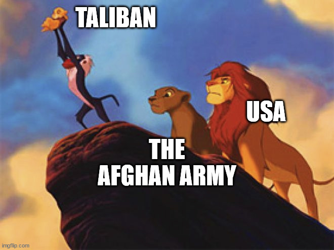 the circle of life | TALIBAN; USA; THE AFGHAN ARMY | image tagged in afghanistan,war,biden,news,fake news,taliban | made w/ Imgflip meme maker