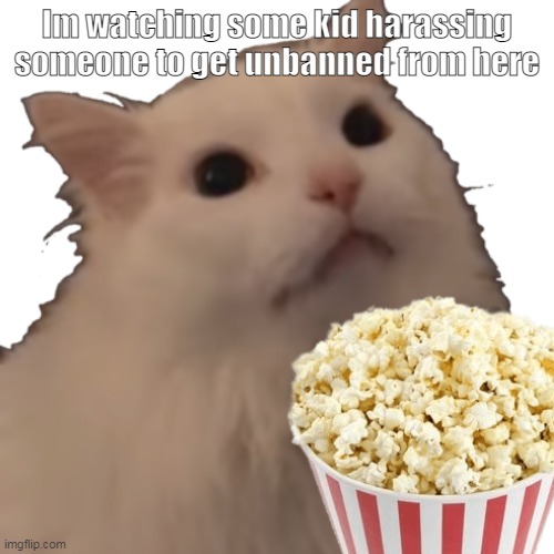 ._. | Im watching some kid harassing someone to get unbanned from here | made w/ Imgflip meme maker