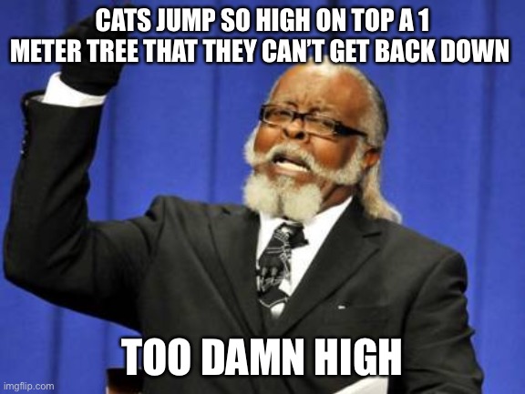 Too Damn High Meme | CATS JUMP SO HIGH ON TOP A 1 METER TREE THAT THEY CAN’T GET BACK DOWN; TOO DAMN HIGH | image tagged in memes,too damn high | made w/ Imgflip meme maker