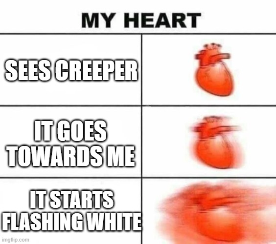 My heart blank | SEES CREEPER; IT GOES TOWARDS ME; IT STARTS FLASHING WHITE | image tagged in my heart blank | made w/ Imgflip meme maker
