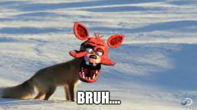 fox with a foxy from fnaf 1 head! | BRUH.... | image tagged in fox with a foxy from fnaf 1 head | made w/ Imgflip meme maker
