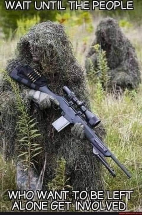 Wait until the people who want to be left alone get involved. | image tagged in force recon,militia,2nd amendment,second amendment,ghillie suits,covert ops | made w/ Imgflip meme maker