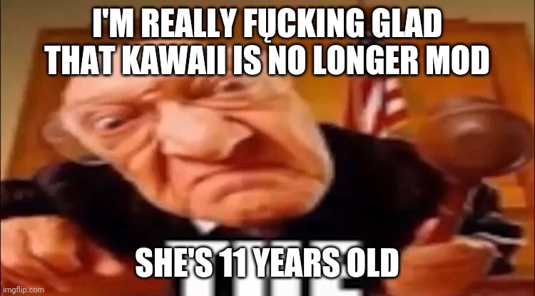 THE | I'M REALLY FŲCKING GLAD THAT KAWAII IS NO LONGER MOD; SHE'S 11 YEARS OLD | image tagged in the | made w/ Imgflip meme maker