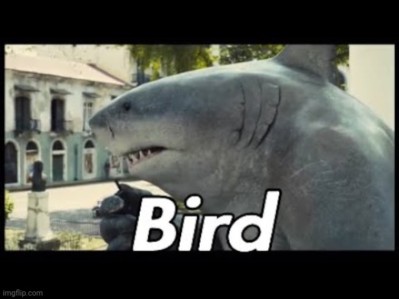 Bird | made w/ Imgflip meme maker