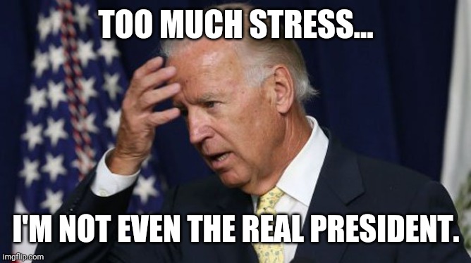 He could go for some mean tweets right about now. | TOO MUCH STRESS... I'M NOT EVEN THE REAL PRESIDENT. | image tagged in memes | made w/ Imgflip meme maker