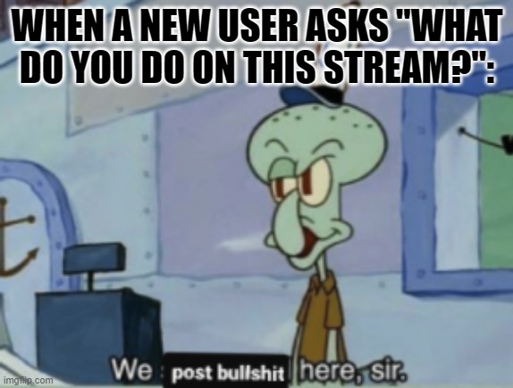 WHEN A NEW USER ASKS "WHAT DO YOU DO ON THIS STREAM?": | made w/ Imgflip meme maker