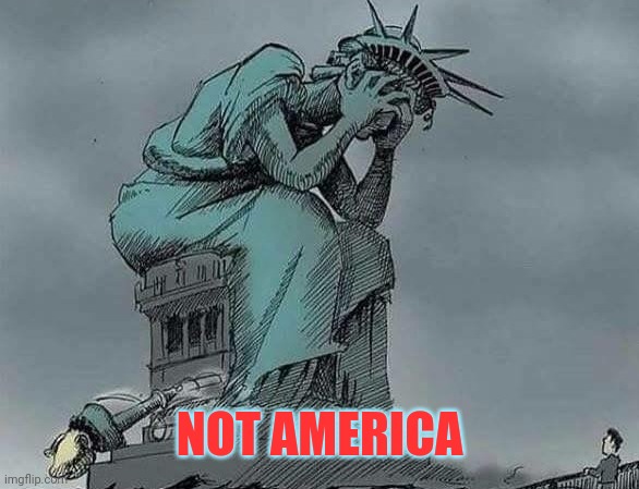 NOT AMERICA | made w/ Imgflip meme maker