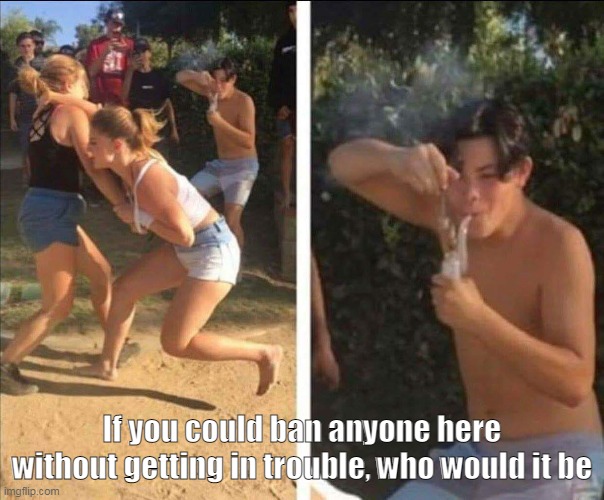 I think i should ban Wholesomey because she is rude to a lot of peoples and is very salty so yeah im right | If you could ban anyone here without getting in trouble, who would it be | image tagged in dabbing guy | made w/ Imgflip meme maker
