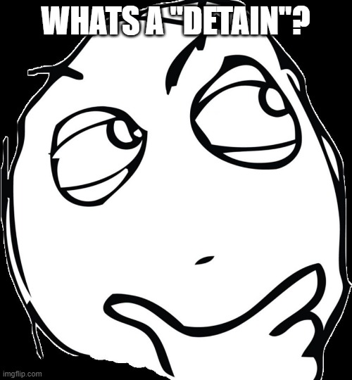 Thinking face | WHATS A "DETAIN"? | image tagged in thinking face | made w/ Imgflip meme maker