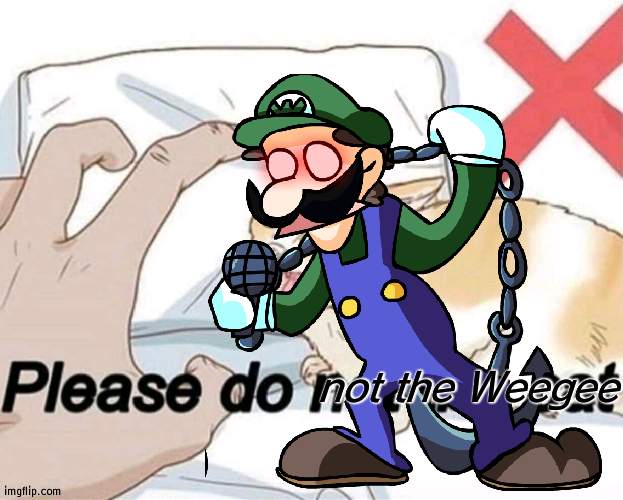 not the Weegee | made w/ Imgflip meme maker