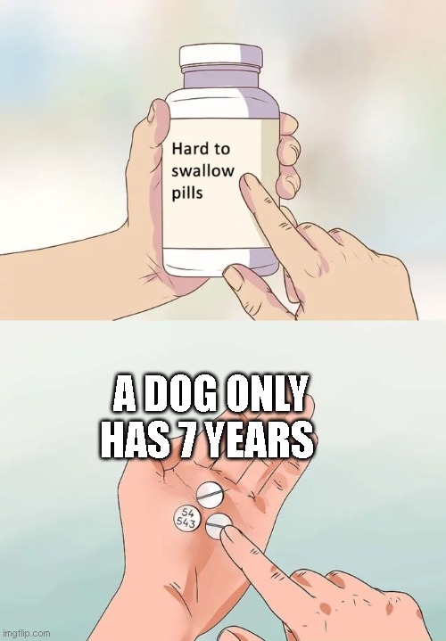 Hard To Swallow Pills | A DOG ONLY HAS 7 YEARS | image tagged in memes,hard to swallow pills | made w/ Imgflip meme maker