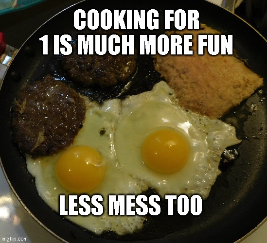 no safe way out | COOKING FOR 1 IS MUCH MORE FUN; LESS MESS TOO | image tagged in single life,best,life | made w/ Imgflip meme maker