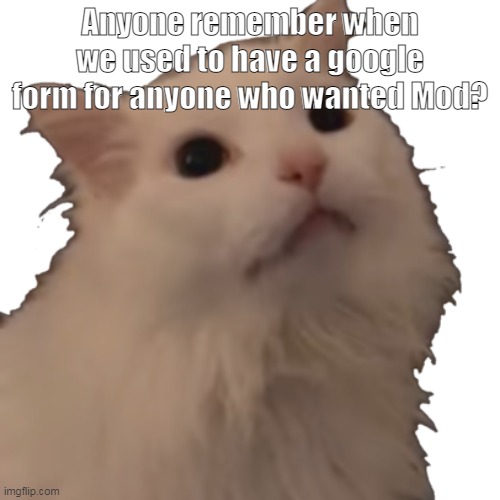 Claim your : '' I had mod but was too lazy to do the form and isnt mod anymore '' ticket here | Anyone remember when we used to have a google form for anyone who wanted Mod? | image tagged in transparent thurston waffles | made w/ Imgflip meme maker