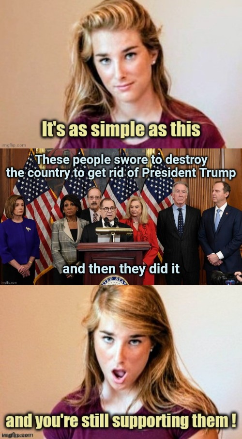 The only promise they ever kept | image tagged in politicians suck,weapon of mass destruction,kung flu,trump derangement syndrome | made w/ Imgflip meme maker