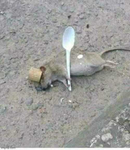 Ratatouille Dead | image tagged in ratatouille dead | made w/ Imgflip meme maker