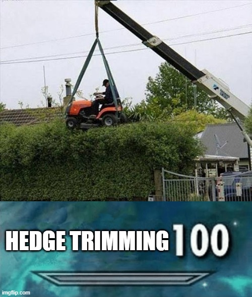 Skill mastery... | HEDGE TRIMMING | image tagged in skyrim skill meme,hedge trimming,skills,i bet this meme goes nowhere | made w/ Imgflip meme maker