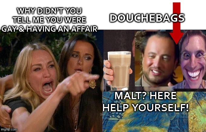 gay douches | WHY DIDN'T YOU TELL ME YOU WERE GAY & HAVING AN AFFAIR; DOUCHEBAGS; MALT? HERE HELP YOURSELF! | image tagged in male douchebags shake,why are you gay,stranger things,affairs | made w/ Imgflip meme maker