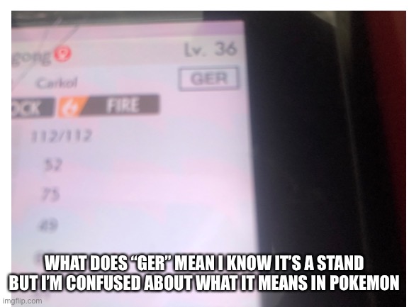 Please help | WHAT DOES “GER” MEAN I KNOW IT’S A STAND BUT I’M CONFUSED ABOUT WHAT IT MEANS IN POKÉMON | made w/ Imgflip meme maker