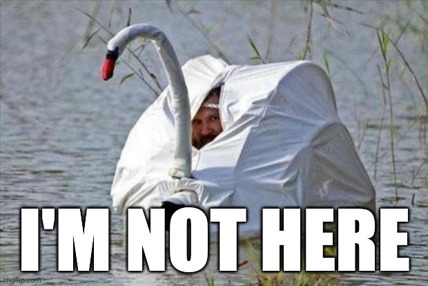 Move on | I'M NOT HERE | image tagged in goose disguise | made w/ Imgflip meme maker