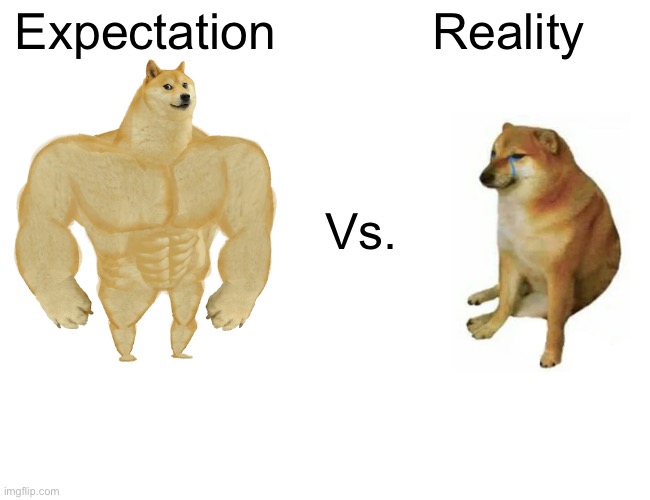 It’s true | Expectation; Reality; Vs. | image tagged in memes,buff doge vs cheems | made w/ Imgflip meme maker