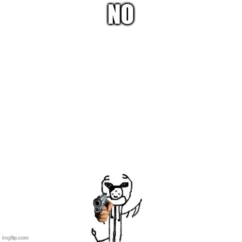 Carlos and Sky with guns | NO | image tagged in carlos and sky with guns | made w/ Imgflip meme maker