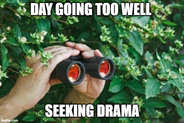 Creepy Guy in the bushes with Binoculars  | DAY GOING TOO WELL; SEEKING DRAMA | image tagged in creepy guy in the bushes with binoculars | made w/ Imgflip meme maker
