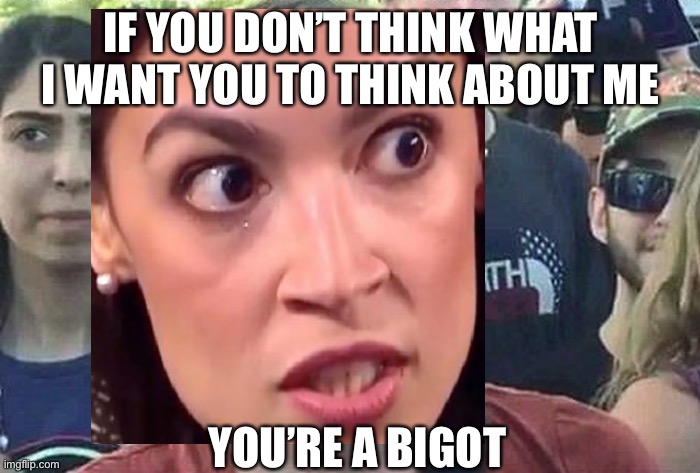 IF YOU DON’T THINK WHAT I WANT YOU TO THINK ABOUT ME YOU’RE A BIGOT | made w/ Imgflip meme maker