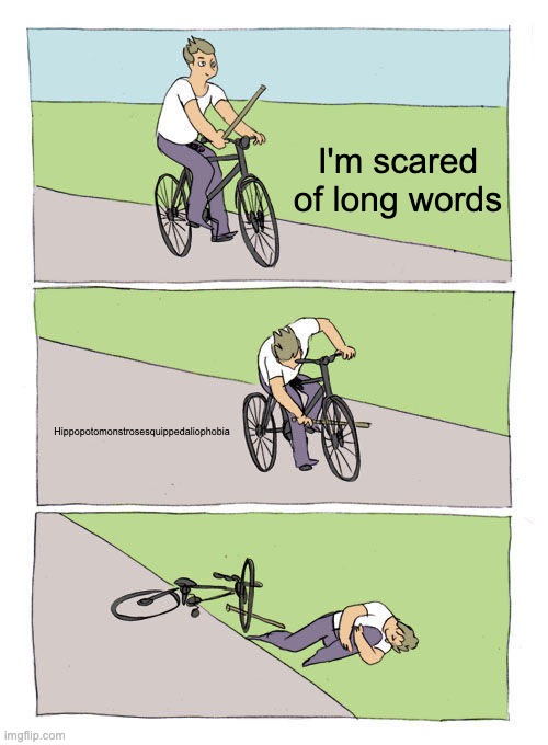 Bike Fall | I'm scared of long words; Hippopotomonstrosesquippedaliophobia | image tagged in memes,bike fall | made w/ Imgflip meme maker