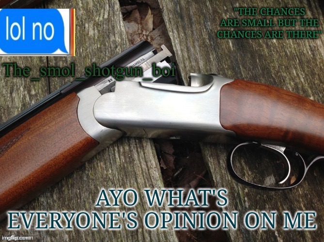 Smol shotgun boi temp | AYO WHAT'S EVERYONE'S OPINION ON ME | image tagged in smol shotgun boi temp | made w/ Imgflip meme maker