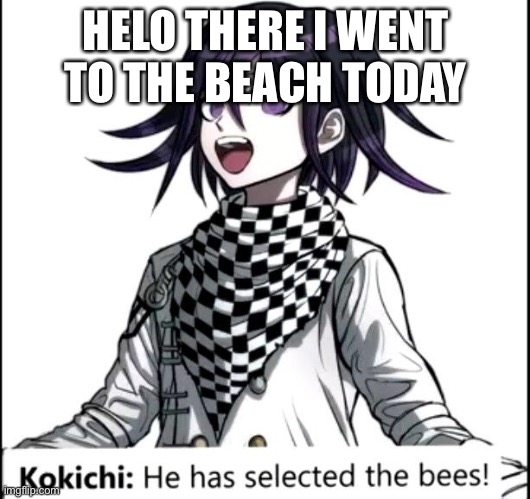 HELO THERE I WENT TO THE BEACH TODAY | made w/ Imgflip meme maker