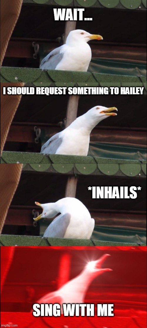 Inhaling Seagull Meme | WAIT... I SHOULD REQUEST SOMETHING TO HAILEY; *INHAILS*; SING WITH ME | image tagged in memes,inhaling seagull | made w/ Imgflip meme maker