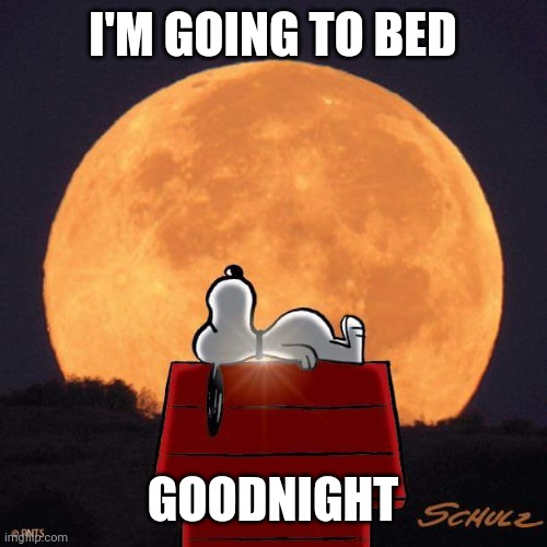 Goodnight | I'M GOING TO BED; GOODNIGHT | image tagged in goodnight | made w/ Imgflip meme maker